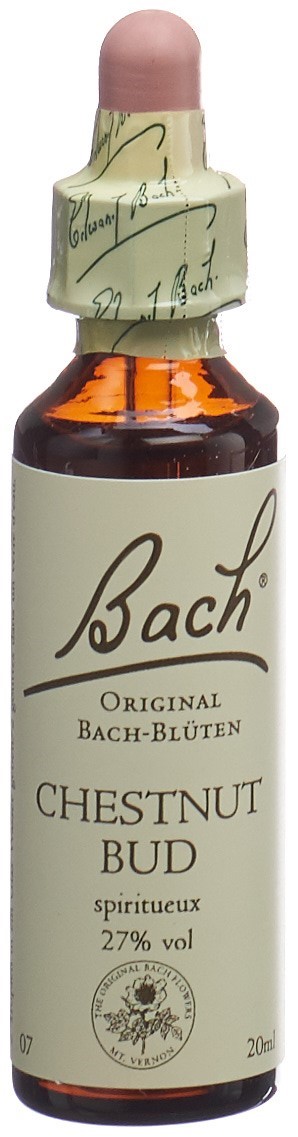 Bach Original Chestnut Bud No07 (20 ml)