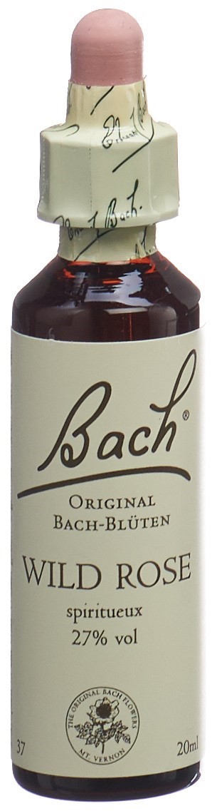 Bach Original Wild Rose No37 (20 ml)
