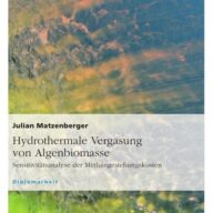 Hydrothermale Vergasung von Algenbiomasse