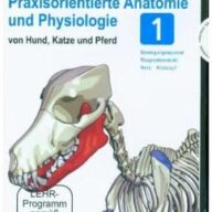 Praxisorientierte Anatomie und Physiologie von Hund, Katze und Pferd. Tl.1, 1 DVD