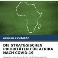 Die Strategischen Prioritäten für Afrika Nach Covid-19
