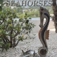 Airplanes and Seahorses