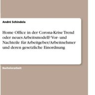 Home Office in der Corona-Krise Trend oder neues Arbeitsmodell? Vor- und Nachteile für Arbeitgeber/Arbeitnehmer und deren gesetzliche Einordnung