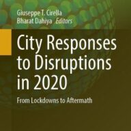 City Responses to Disruptions in 2020: From Lockdowns to Aftermath