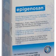 epigenosan Tablette (120 Stück)