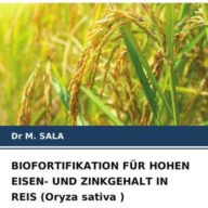 Biofortifikation für Hohen Eisen- und Zinkgehalt in Reis (oryza Sativa )