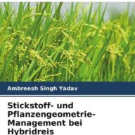 Stickstoff- und Pflanzengeometrie-Management bei Hybridreis